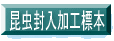 HW{