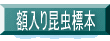 z荩W{